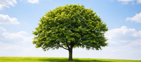 ChatGPT-Image-3-fevr.-2026-a-16_48_24-600x600